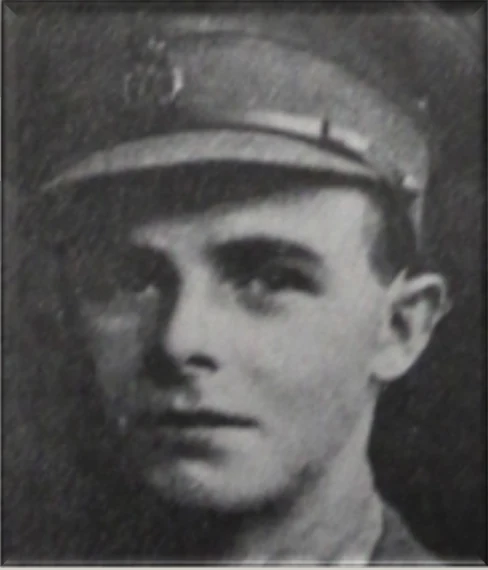 Portrait of Francis Hubert DOYLE