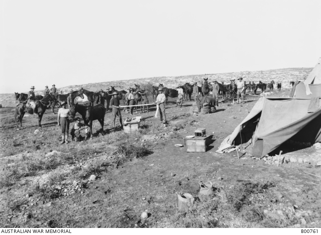 Men of the 9th Australian Mobile Veterinary Section bandage a horse’s fetlock, Tripoli, Lebanon, December 1918 · post-Armistice.